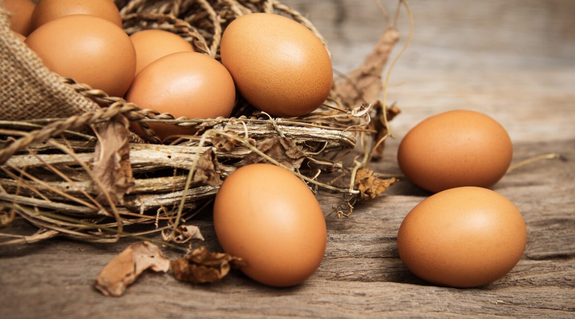 Ovos: um alimento nutritivo e versátil
