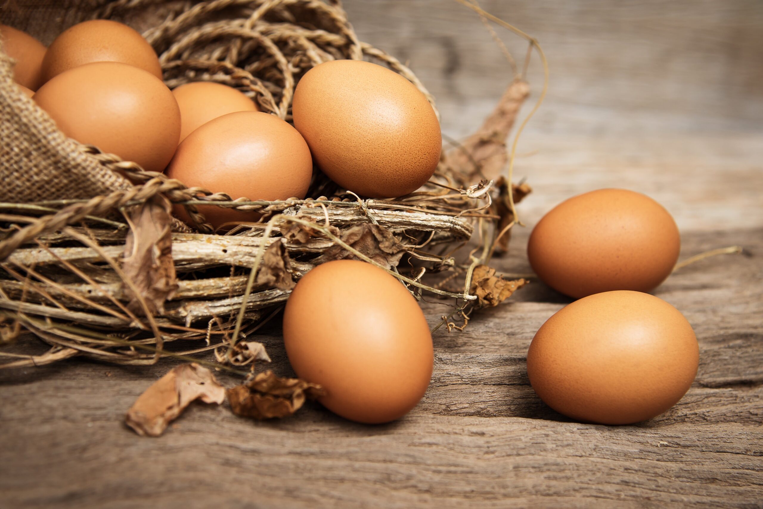 Ovos: Um Alimento Nutritivo e Versátil